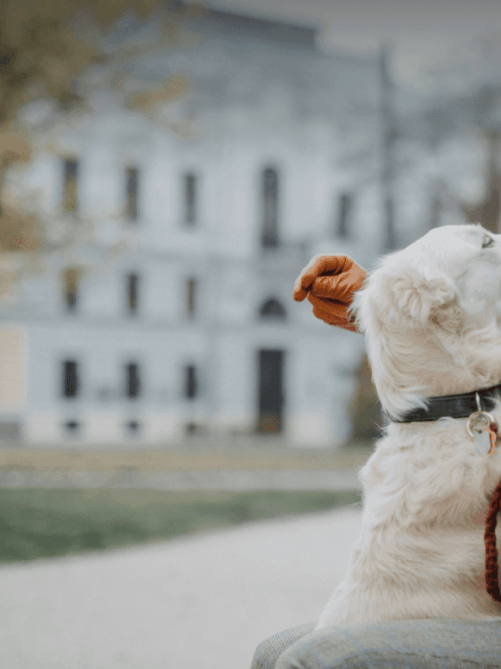 header-alarme-with-watch-1